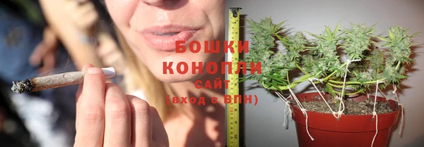 PSILOCYBIN Алексин