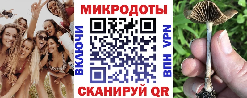 Галлюциногенные грибы Cubensis Злынка