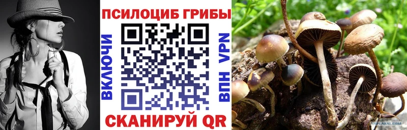 Галлюциногенные грибы мицелий хочу Злынка